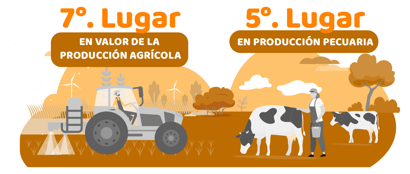 7 Lugar en producción agrícola y 5 lugar en producción pecuaria