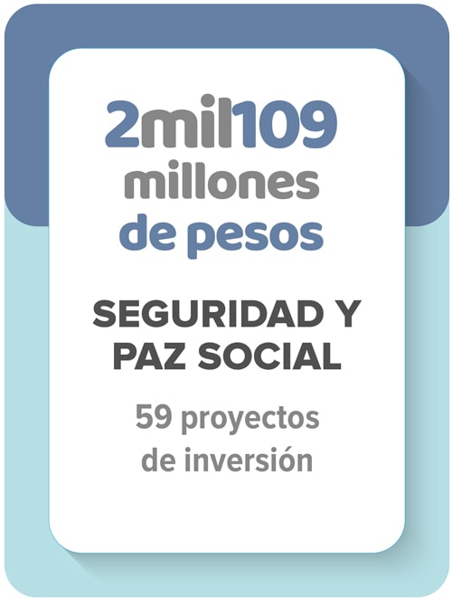 Inversión en seguridad y paz social